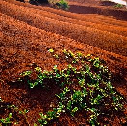 《暖雪》累积销量突破200万 《暖雪》新DLC年内发售